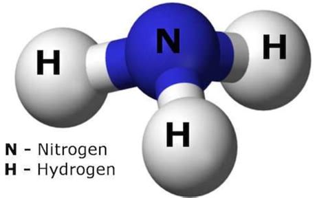 Ammonia .